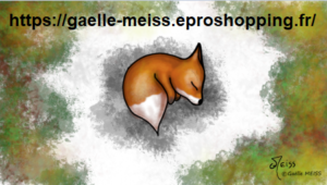 https://gaelle-meiss.eproshopping.fr/